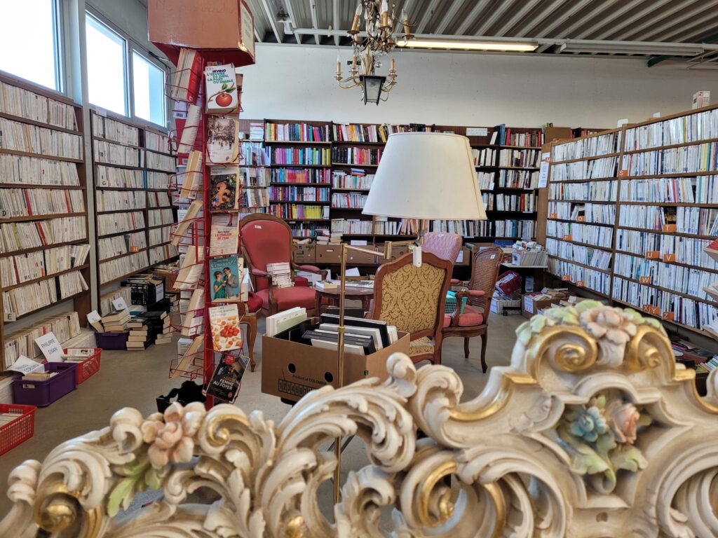 Découvrez l&rsquo;espace livres de la brocante de Plan-les-Ouates