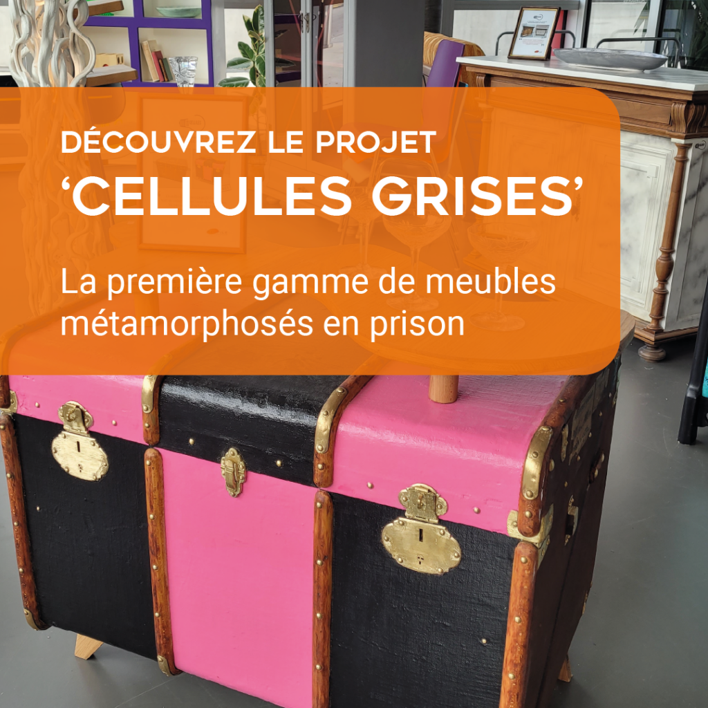 &lsquo;Cellules grises&rsquo;, le partenariat de réinsertion pour les détenus